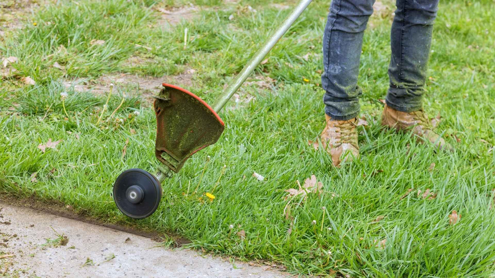 mata pisau potong rumput