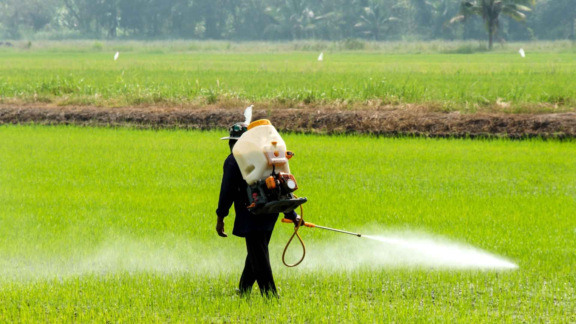 Rekomendasi mesin sprayer 2 tak