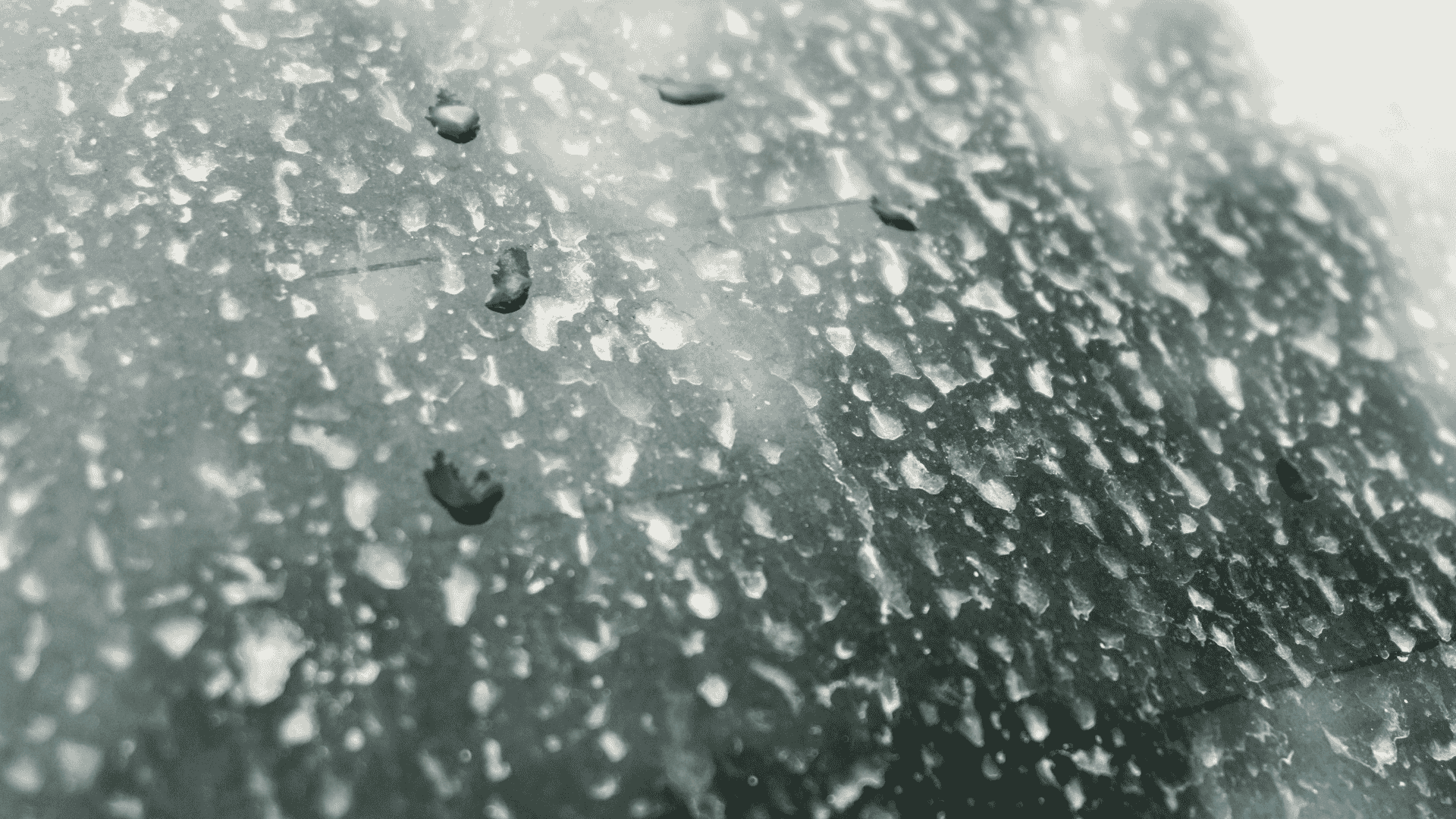 Cara Menghilangkan Jamur Pada Kaca 