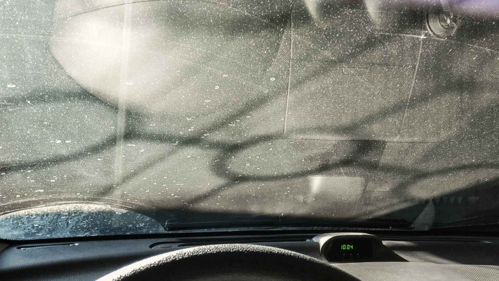 Cara Menghilangkan Jamur Pada Kaca 