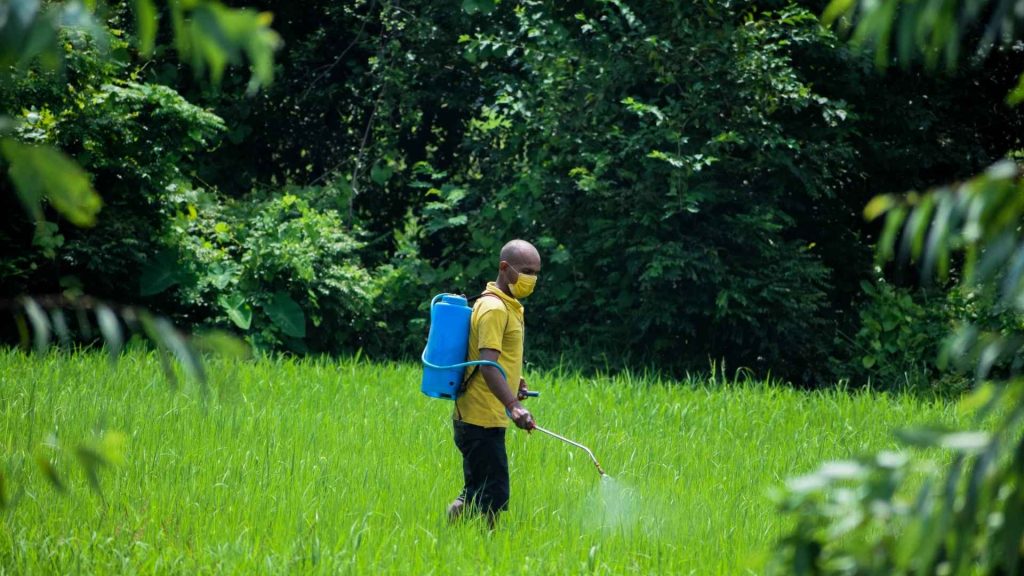 Cara memilih tangki semprot elektrik