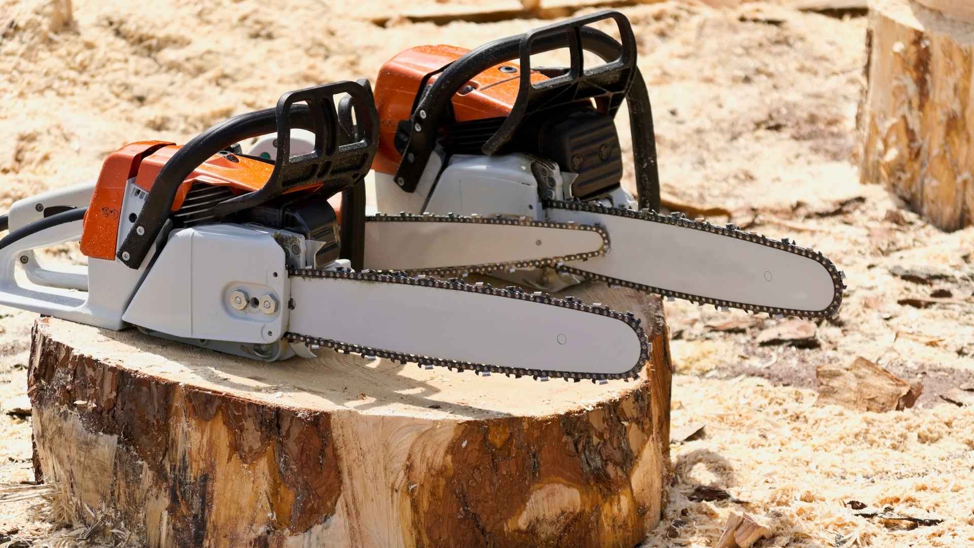 Rekomendasi Chain Saw